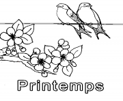 Coloriage printemps simple oiseaux