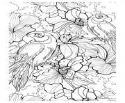 Coloriage adulte difficile perroquets