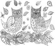 Coloriage animaux adulte hiboux feuilles automne