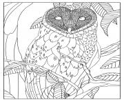 Coloriage adulte chouette effraie par mizu