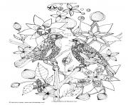 Coloriage adulte deux oiseaux sur une branche