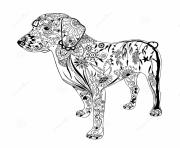 Coloriage chien doodle zentangle animaux adulte