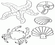 Coloriage coquille de plage avec crabe ete