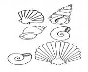 Coloriage coquilles de place magnifique vacance ete