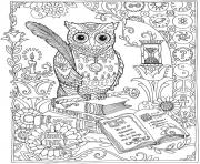 Coloriage xxl adulte hibou