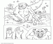 Coloriage les chimpanzes dans la jungle