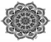 Coloriage mandala complexe adulte fleurs art therapie