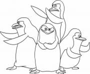 Coloriage pingouin de madagascar