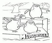 Coloriage pingouin de madagascar 2