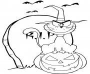 Coloriage citrouille chat halloween