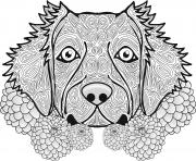 Coloriage adulte chien dog animal