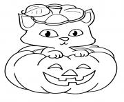 Coloriage citrouille chat halloween