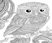 Coloriage hibou adulte animaux anti stress