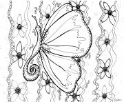 Coloriage adulte butterfly by zenfeerie