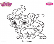 Coloriage palace pets sultan disney