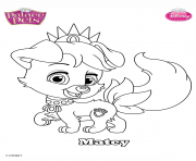 Coloriage palace pets matey disney