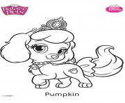 Coloriage palace pets pumpkin disney