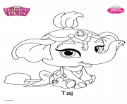 Coloriage palace pets taj disney