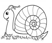 Coloriage escargot maternelle dans la nature