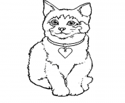 Coloriage dessin petit chaton