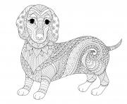 Coloriage chien mandala teckel chien saucisse