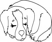 Coloriage chien qui dort