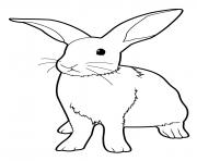 Coloriage lapin realiste debout