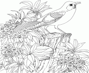 Coloriage nature paysage fleurs oiseau