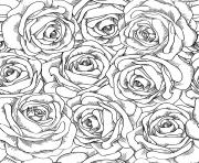 Coloriage fleurs adulte roses