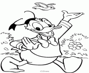 Coloriage Donald se ballade Disney