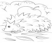 Coloriage hedgehog with apple automne