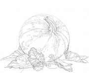 Coloriage pumpkin and feuilles automne