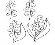 Coloriage comment dessiner le muguet