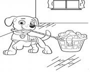 Coloriage pat patrouille chien de compagnons pour lindependance