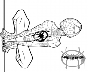 Coloriage Spider Man