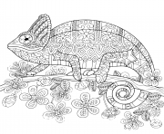 Coloriage cameleon mandala