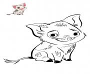 Coloriage le petit cochon de vaiana disney