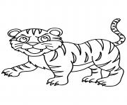 Coloriage tigre de la famille panthera tigris