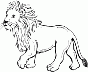 Coloriage un jeune lionceau