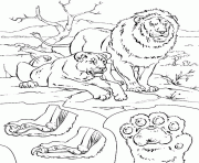 Coloriage un lion et une lionne