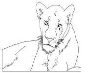 Coloriage lioness