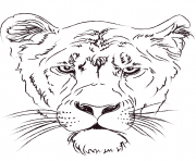 Coloriage lioness head