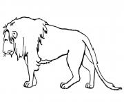 Coloriage lion triste