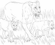 Coloriage lioness with cubs