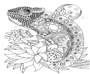 Coloriage adulte animaux cameleon orne de bijoux