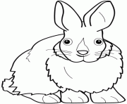 Coloriage lapin