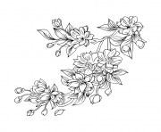 Coloriage sakura fleurs japonaise