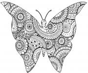 Coloriage insecte papillon avec zentangle paisley motifs par art isabelle