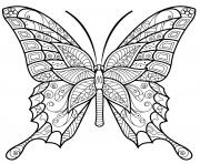 Coloriage insecte papillon jolis motifs