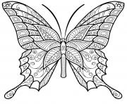 Coloriage papillon insecte jolis motifs 6